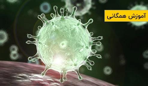 ویروس کرونا: پیشگیری و دانستنی‌های ضروری (آموزش همگانی)